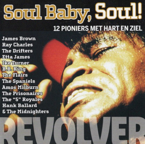 Soul Baby, Soul! 12 pioniers met hart & ziel