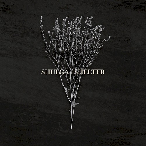 Shelter