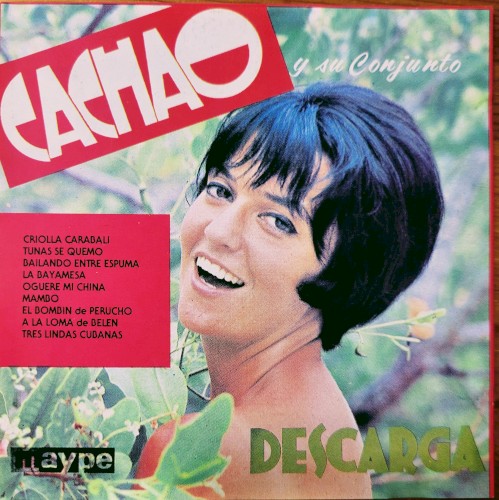 Descarga