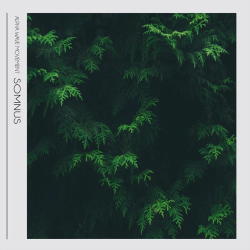 Somnus