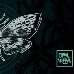 Motyl