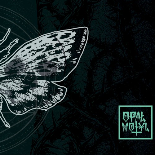 Motyl