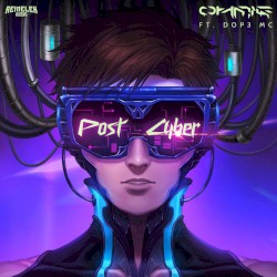 Post Cyber