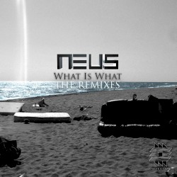 What Is What (The Remixes)