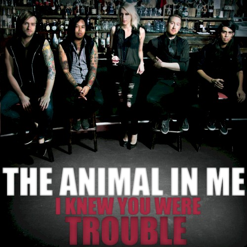 I Knew You Were Trouble