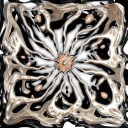 The Mortal Coil