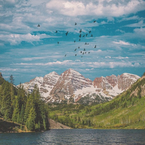 As a Bird Flies