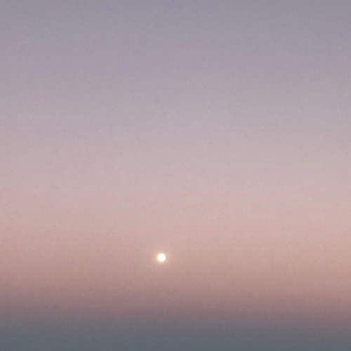 Vanish