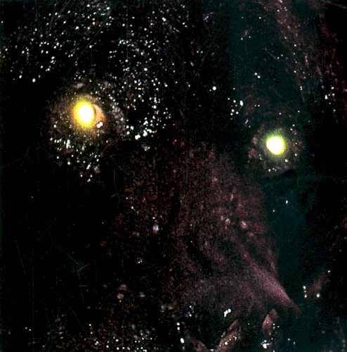 EICV7" No. 29