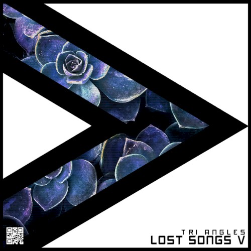 Lost Songs vol. 5