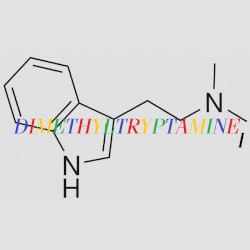 Dimethyltryptamine Ｉ