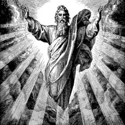 Sic faciunt omnes