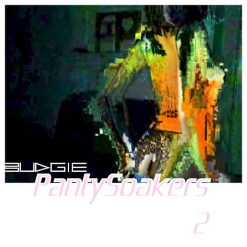 Panty Soakers 2