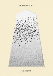 MURMURATIONS