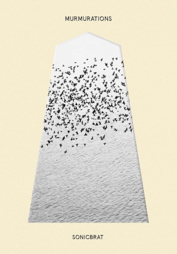 MURMURATIONS