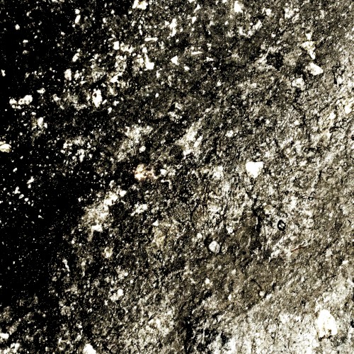 Imagined Textures of the Mud