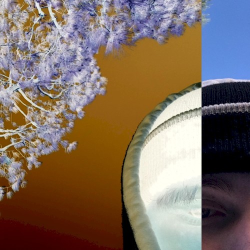 Consciousness+Vanity