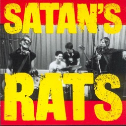 What a Bunch of Rodents