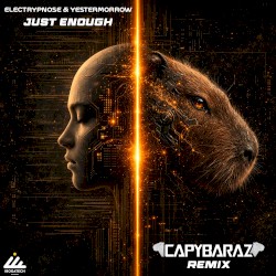 Just Enough (Capybaraz remix)