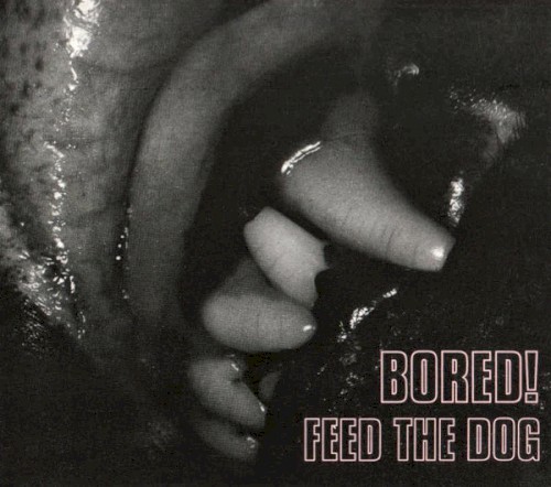 Feed the Dog