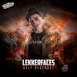Self Destruct
