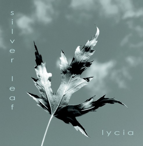 Silver Leaf