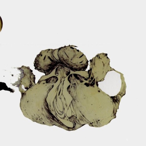 The Ape of Naples / The New Backwards