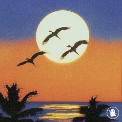 Rhythms of the Sun