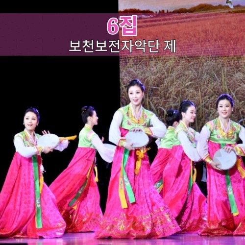 6집