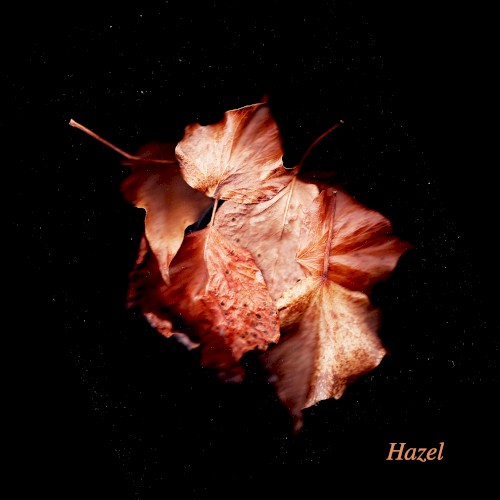 Hazel