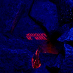 AUGURY BY BIRDS
