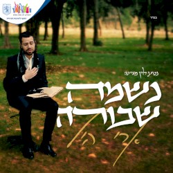 נשמה שבורה