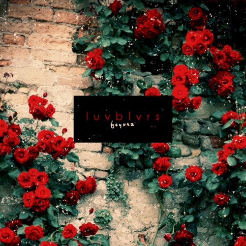 luvblvrs