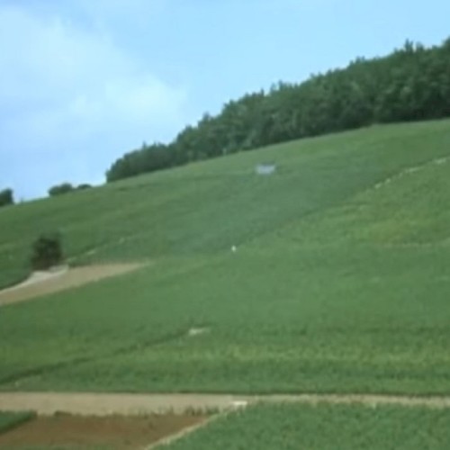 農業