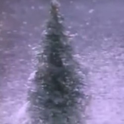 Ｉｔ＇ｓ░Ｃｈｒｉｓｔｍａｓ░ T i m e ░ａｔ░ｔｅｐｈ░ｃｏ. ░ 愛 !