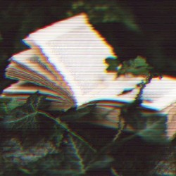 ★scattered★