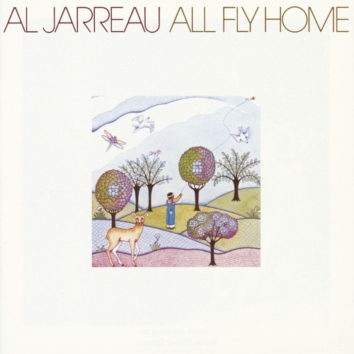 All Fly Home