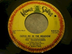 Catch Me in the Meadow