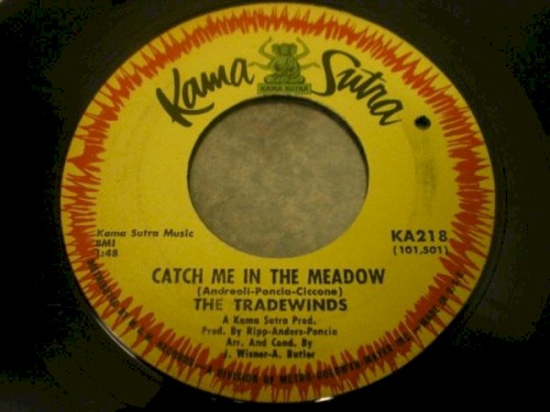 Catch Me in the Meadow