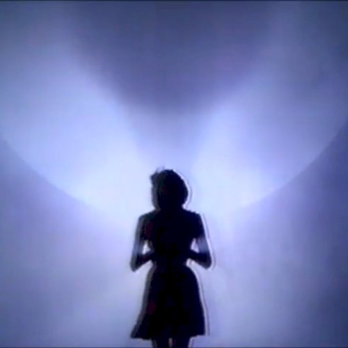 Surrounded By Light