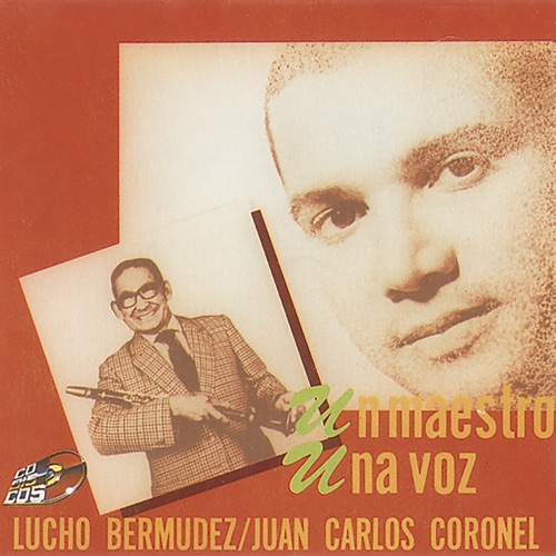 Un maestro una voz