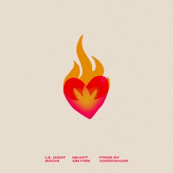 Heart on Fire