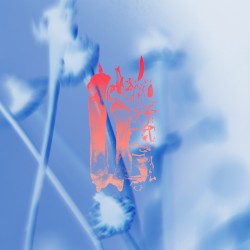 Gibucam