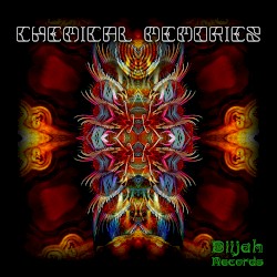 Chemical Memories