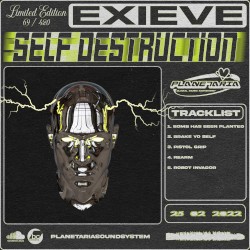 Self Destruction