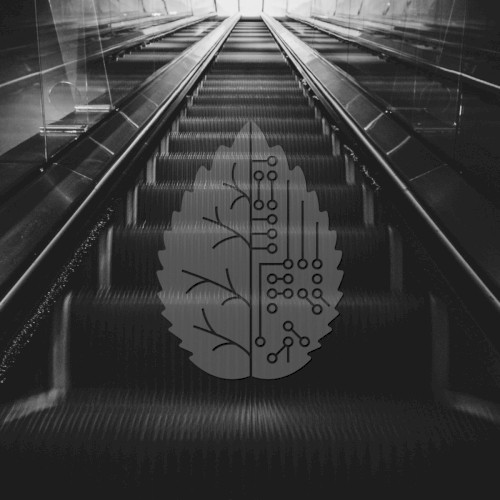 Take It Down Low / On The Rocks