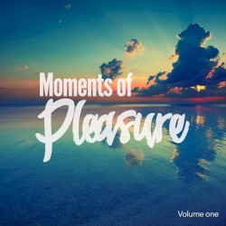 Moments of Pleasure, Vol. 1 (Jazzy & Smooth Chill Out Tunes)
