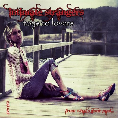 Toys to Lovers