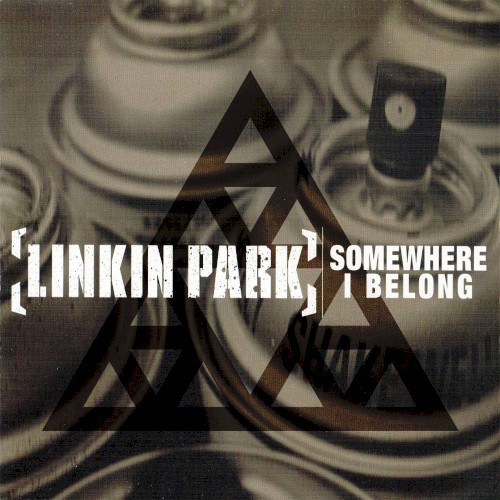 Somewhere I Belong (Big Skapinsky remix)