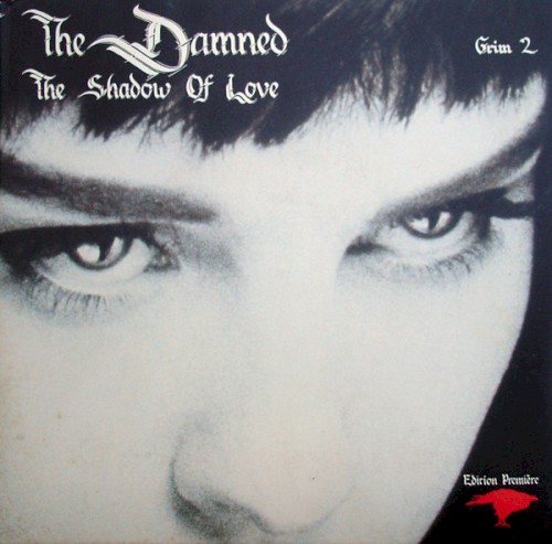 The Shadow of Love